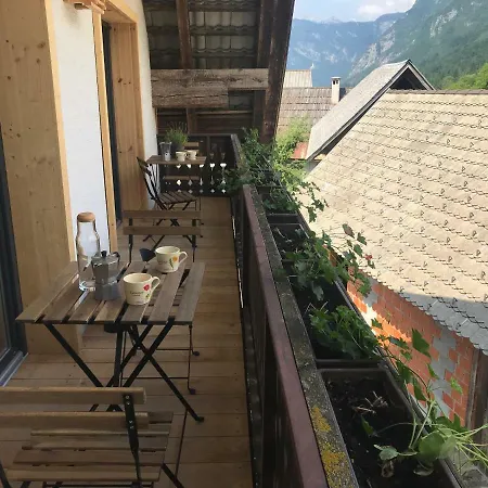 House Apartment